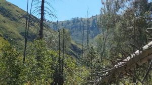 село Маралиха, ВКО.