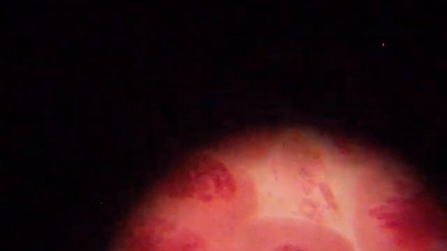 Mitosis en células del ápice de la cebolla смотреть онлайн