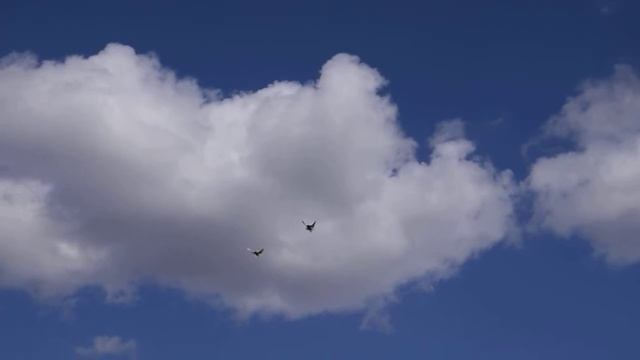 Golubi Waleri Panzina 2017.6 смотреть онлайн