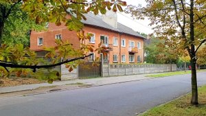 Съемка по просьбам подписчиков: Каштановая аллея в Калининграде