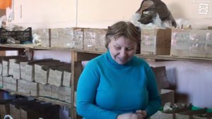 САМОВЫВОЗ САЖЕНЦЕВ ИЗ ПИТОМНИКА САДЫ УРАЛА. СОВЕТЫ ПО ПОСАДКЕ САЖЕНЦЕВ. МАТОЧНИК САЖЕНЦЕВ