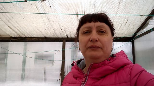 Заболела кошка, новости смотреть онлайн