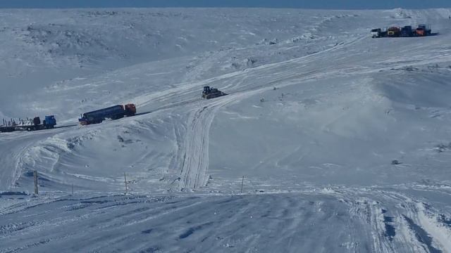 зимник