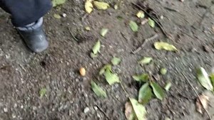 Не наклоняясь орехи собирать! ОРЕХОСОБИРАТЕЛЬ. Самый простой способ как легко собирать орехи.