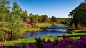 СУРА АЛЬ-ФАТИХА,АЯТУЛЬ КУРСИ,СУРА АЛЬ-ИХЛАС,СУРА АЛЬ-ФАЛАК,СУРА АН-НАС