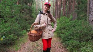 ОПТИМИСТИЧНАЯ ГРИБАЛКА – В осеннем сказочном лесу собираем Белые грибы, Подосиновики и Подберёзовики
