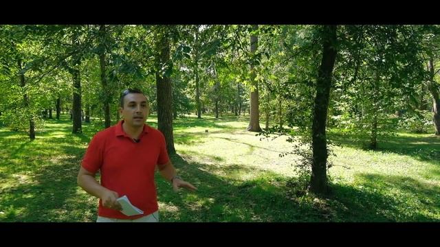 ?Работа в Краснодаре. Сколько реально зарабатывают в Краснодаре [Часть 1]
