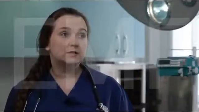 Содержание дикого животного дома. смотреть онлайн