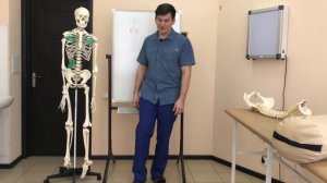 Причина старения позвоночника. Остеохондроз. Артроз