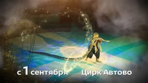 Программа «Арена чудес» в цирке Автово