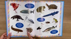 Фотокнига для малышей. Животный мир