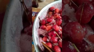 варенье из китайки"Райские яблочки"(самый быстрый и легкий рецепт)
