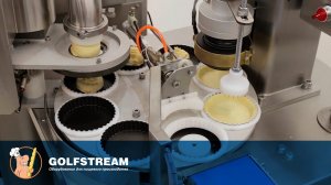 Отсадочно-формовочный комплекс для производства тарталеток SPARTA GT-1800