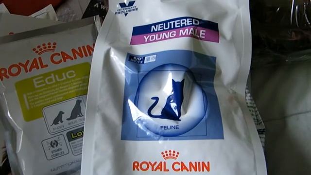 Подарки, бесплатные пробники и всё, что нам подарили на выставке животных смотреть онлайн