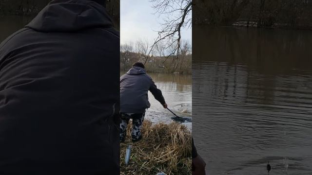 Лещ весной на мини бойлы. Рыбалка весной на грунт. 16.03.2023.река Майн.