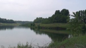 Пруд х Калиновка Белгородская область