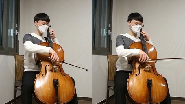 Snowman - Cello cover by Vincello originally by Sia