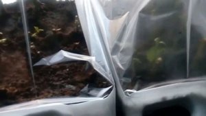 Череночник из пластиковой канистры. Сделай своими руками.