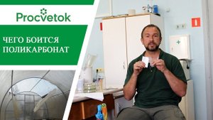 Лучший способ испортить поликарбонатную теплицу - пузырьки с йодом!