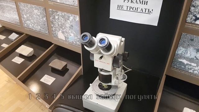 Музей естественной истории Татарстана Фотовыставка Природа Татарстана Прогулка по залам Фильм 3