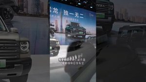 Stop chasing the Haval Raptor that you can’t catch. Your Raptor is unique. Great Wall New Energy is