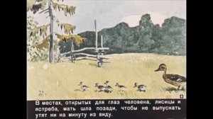 Литературное чтение. М. Пришвин "Ребята и утята" 2 класс. Урок 47