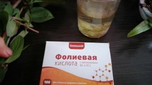 Осеннее черенкование кобеи.