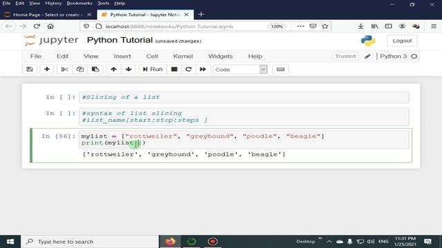 List Slicing In Python | Python 4 You | Lecture 95