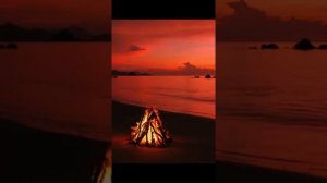 Сура "Аль-Анкабут" (Паук) Чтец: Абдурахман масад. #красивоечтениекорана