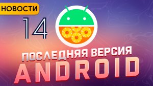 Новых версий Android больше не будет | Новости мобильной разработки