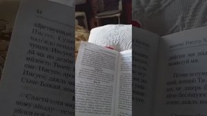Послушай и почитай Акафист "Сладчайшему Господу нашему Иисусу Христу" с текстом