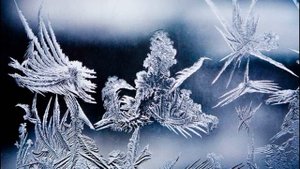 Петербургская княжна (cover А. Лепёхин)