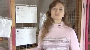 Приют для животных 20 01 14