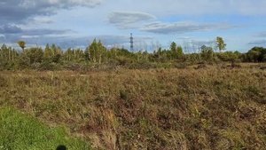 Как с НУЛЯ заняться СЕЛЬСКИМ ХОЗЯЙСТВОМ?! Мой ОПЫТ!