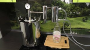 Чай зеленый гидролат (Camelia sinensis). Паровая вытяжка из зеленого чая