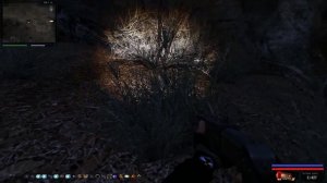 Прохождение игр. Сталкер Путь человека ПТРД для Петренко