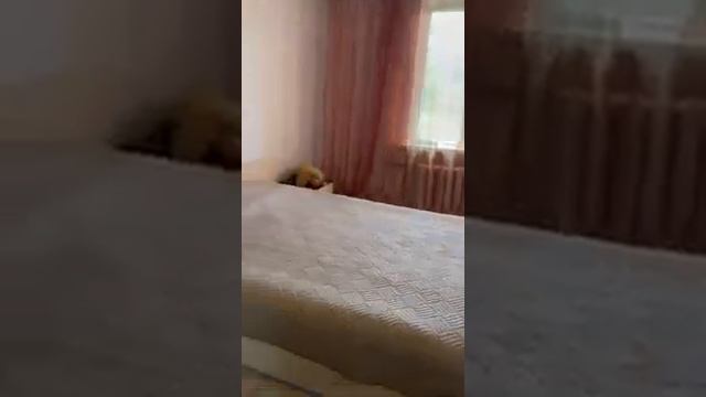 Квартира посуточно в Севастополе рядом с Парком Победы, набережной