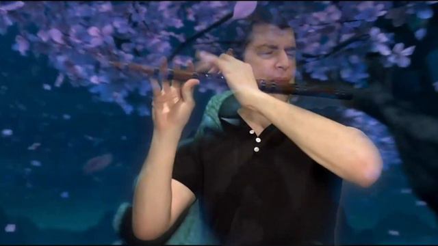 Kungfu Panda - Oogway Ascends - dizi flute ( Chinese bamboo flute) смотреть онлайн