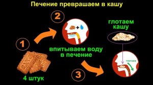 ЛОХОТРОН 4 печеньки за 1 минуту / КАК РЕШИТЬ ЗАДАЧУ ?! / ОТВЕТ ЕСТЬ !!!