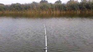 лодочный мотор Fisher 2,5