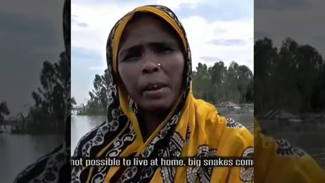 Food packages distribution among flood affected people