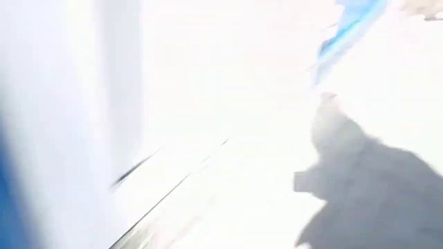 Купила куриных шей для собак смотреть онлайн