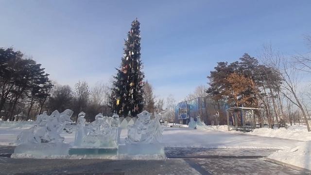 Парк Гагарина Хабаровск. Космопорт. Хабаровский краевой цирк. Прогулка по зимнему Хабаровску.