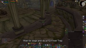 World of Warcraft Classic Hunter Tribute Run Solo