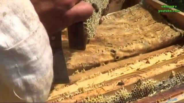 Влог ♥ Жизнь в деревне ♥ Пасека, как качают мед ♥ Сенокос ♥ Лошадки ♥ Оренбургская область