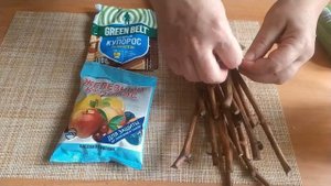 Подготовка черенков винограда к хранению