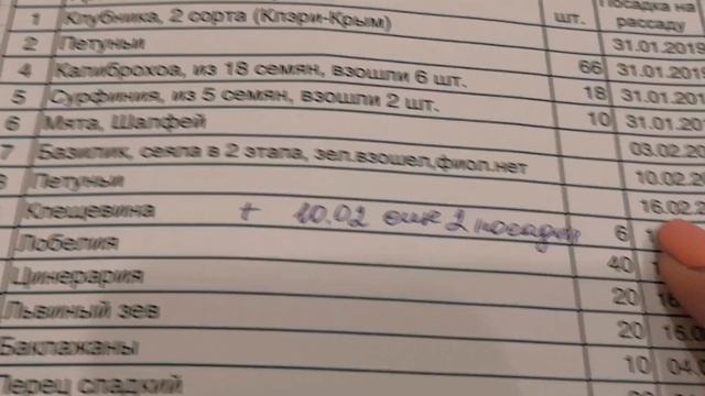 Дневник садовода I Какие сеять цветы I Выбор семян I профессиональные семена I подготовка почвы