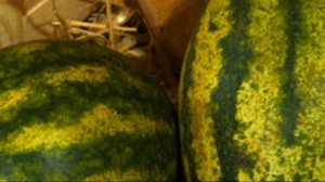 Сколько хранятся арбузы целый, разрезаный