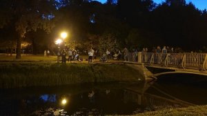 Вечер в Таврическом саду