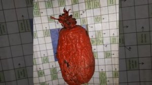 Без названия